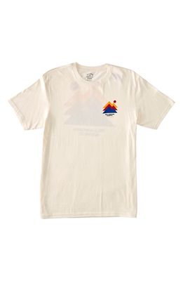 Billabong Stepped Organic Cotton Graphic T-Shirt in Off White