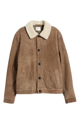 Billy Reid Bishop Down Genuine Shearling & Leather Jacket in Taupe