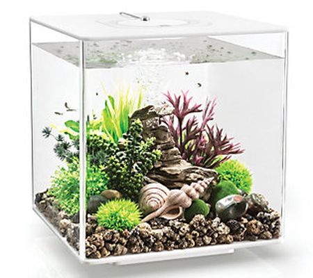 biOrb Cube 30 Aquarium with MCR Light - 8 Gallo n