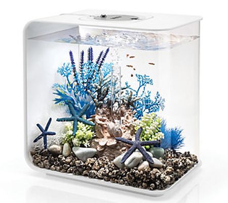 biOrb Flow 30 Aquarium with Standard Light - 8 Gallon
