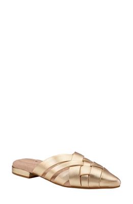 Birdies Dove Woven Pointed Toe Mule in Gold Crossed Leather