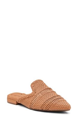 Birdies Dove Woven Pointed Toe Mule in Toffee Woven 