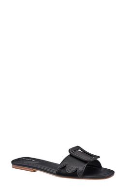 Birdies Kiwi Slide Sandal in Black Leather