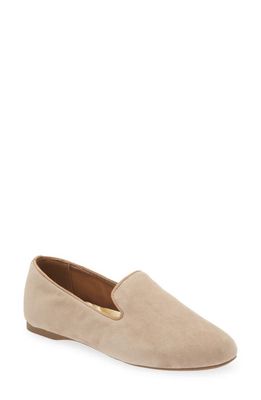 Birdies Starling Suede Flat in Latte Suede