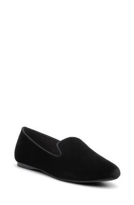 Birdies Starling Velvet Flat in Black Velvet 