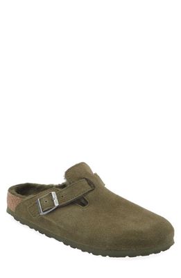 Birkenstock Boston Genuine Shearling Lined Clog in Thyme/Thyme