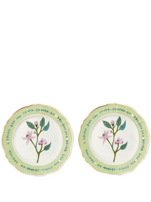 Bitossi Home set-of-two botanical-print plates - Green