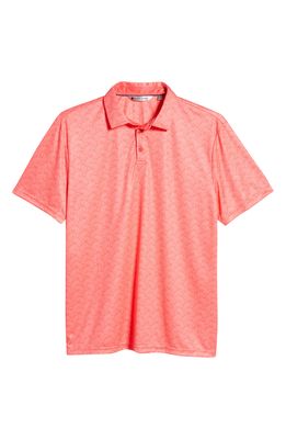 Black Clover Paisley Performance Golf Polo in Psych Pink