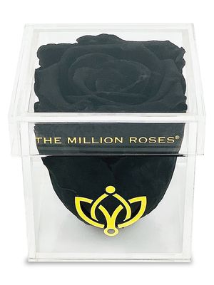 Black Rose In Single Rose Box - Black - Black