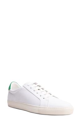 Blake Mckay Jay Low Top Sneaker in White/Green