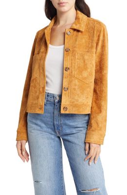 BLANKNYC Faux Suede Jacket in Toasted Caramel
