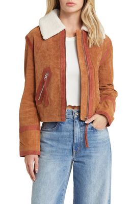 BLANKNYC Suede Jacket with Faux Shearling Collar in Caramel Sauce