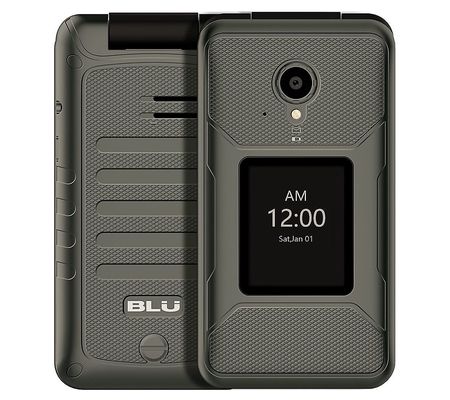 BLU TANK FLIP T0100UU GSM Smartphone