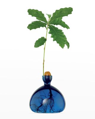 Blue Acorn Vase