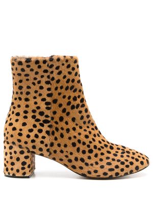 Blue Bird Shoes 70mm cheetah-print boots - Brown