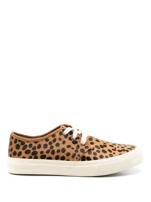 Blue Bird Shoes cheetah-print lace-up sneakers - Brown