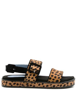 Blue Bird Shoes cheetah-print leather sandals - Brown