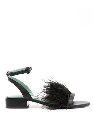 Blue Bird Shoes feather-detail sandals - Black