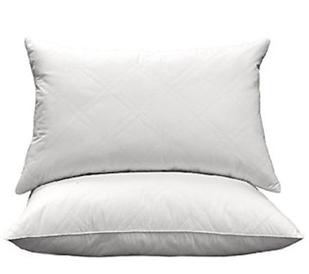 Blue Ridge 95/5 White Goose Feather & Down Quil ted Pillow S/2