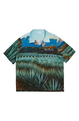 Blue Sky Inn Agave Short Sleeve Button-Up Shirt in A/O Print-Green