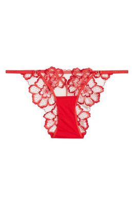 Bluebella Catalina Embroidered Mesh Briefs in Tomato Red/Sheer