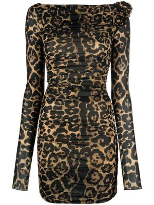 Blumarine rose-appliqué leopard-print dress - Black