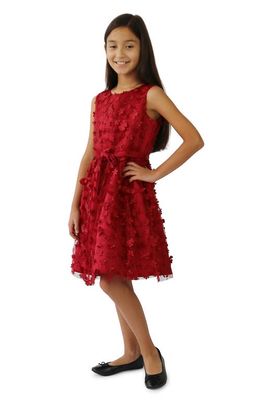 BLUSH by Us Angels Kids' Embroidered Floral Mesh Dress