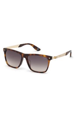 BMW Unisex 55mm Square Sunglasses in Blonde Havana /Gradient Smoke