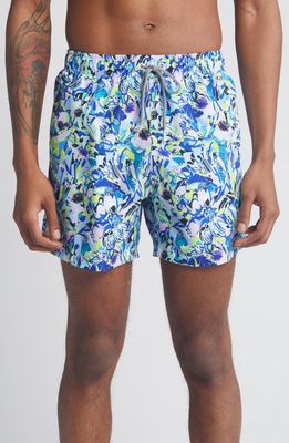 Boardies Amelia Mid Length Swim Trunks in Blue 