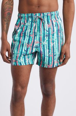 Boardies Bambusa Mid Length Swim Trunks in Multi 