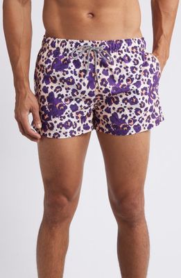 Boardies Cheetah Shortie Swim Trunks in Purple Multi 