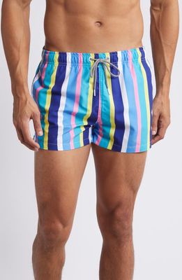 Boardies Crush Stripe Swim Trunks in Blue Multi 