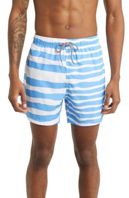 Boardies Double Stripe Swim Trunks in Blue/White