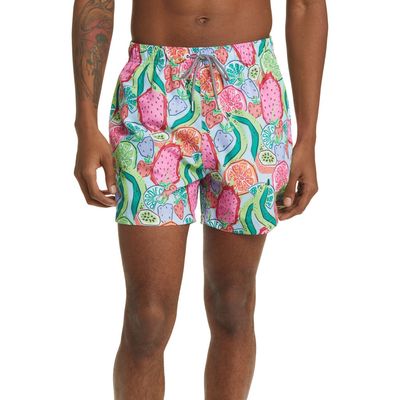 Boardies Ice & Slice Swim Trunks in Blue/Green/Pink Multi 