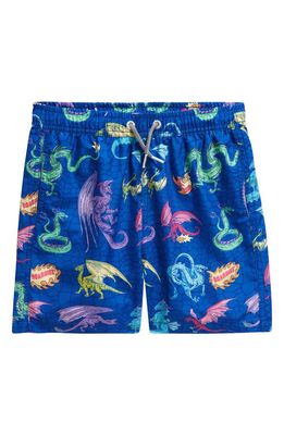 Boardies Kids' Dragons Swim Trunks in Blue