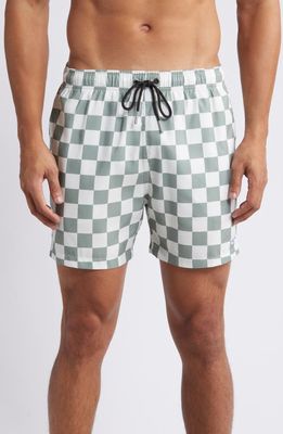 Boardies Nico Checkerboard Swim Trunks in Green/Cream 