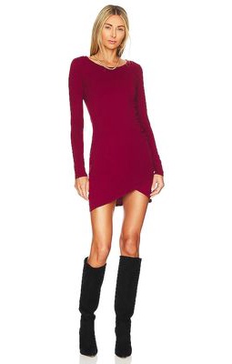 Bobi Supreme Jersey Dress in Wine