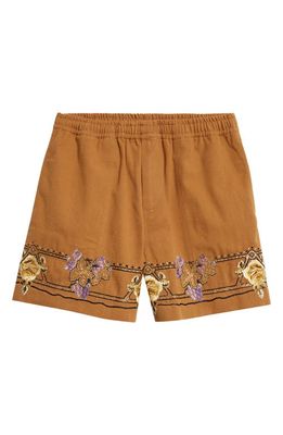Bode Autumn Royal Embroidered Cotton Shorts in Brown Multi
