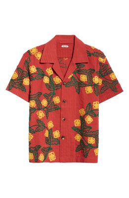 Bode Marigold Wreath Embroidered Cotton Camp Shirt in Maroon Multi