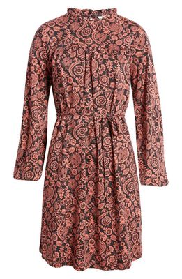 Boden Paisley Long Sleeve Dress in Faded Rose Charm