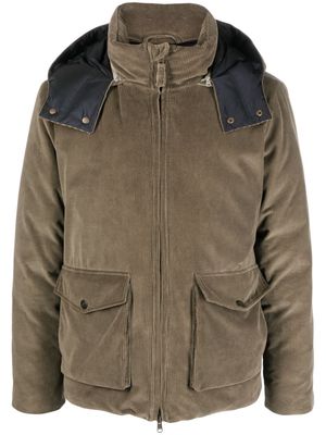 Boglioli corduroy padded jacket - Brown