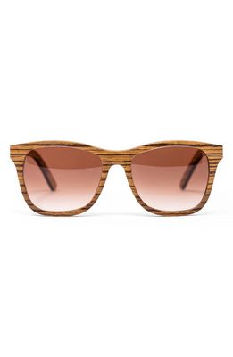 Bôhten Barklae 51mm Gradient Square Zebrawood Blue Light Blocking Sunglasses in Brown /Brown Gradient