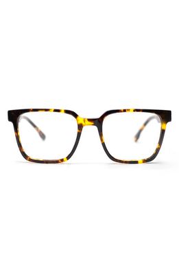 Bôhten Jade 50mm Gradient Square Optical Glasses in Tortoise /Clear 