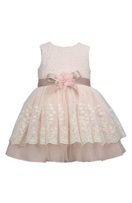 Bonnie Jean Floral Embroidered Lace Party Dress & Bloomers in Blush