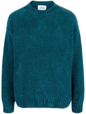 Bonsai intarsia-knit crew-neck jumper - Blue