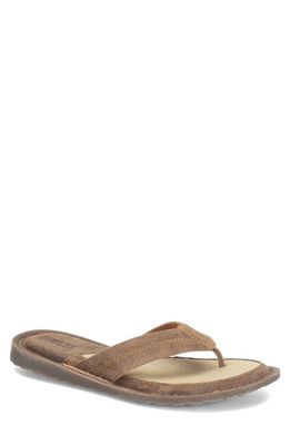 Børn Bermuda Flip Flop in Taupe Distressed