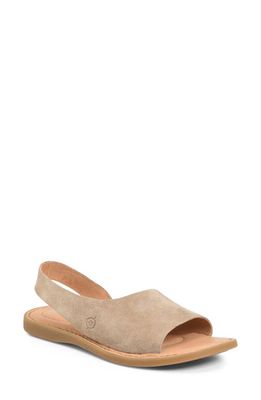 Børn Inlet Sandal in Taupe Suede