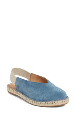 Børn Shilo Slingback Espadrille in Blue Suede