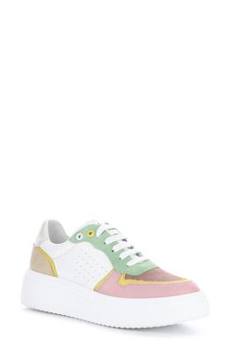 Bos. & Co. Fulton Colorblock Platform Sneaker in Pink/White Leather/Suede