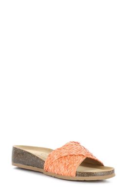 Bos. & Co. Luni Crisscross Slide Sandal in Orange Rafia